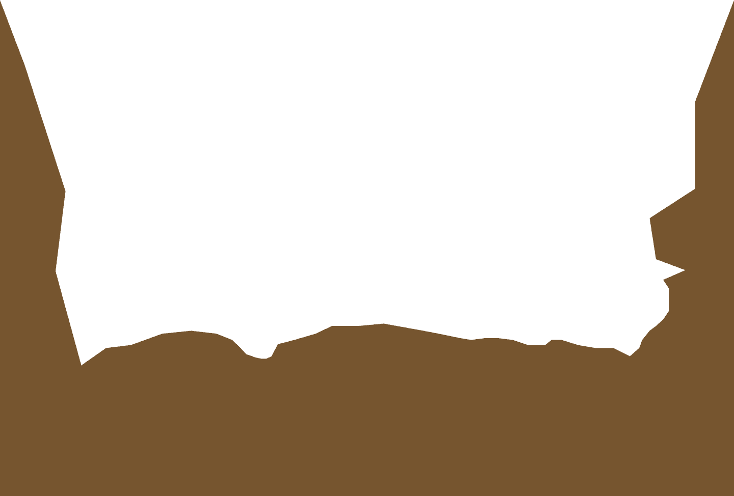 orange vector